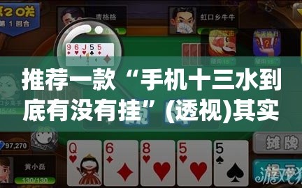推荐一款“手机十三水到底有没有挂”(透视)其实确实有挂