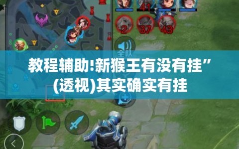 教程辅助!新猴王有没有挂”(透视)其实确实有挂