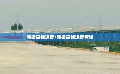 感染高峰进度/感染高峰进度查询