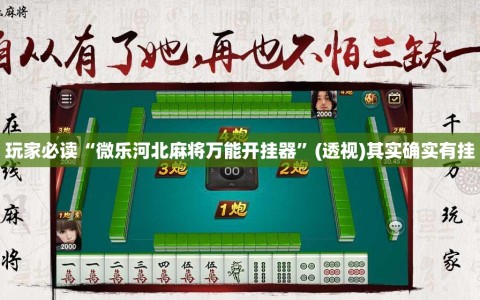 玩家必读“微乐河北麻将万能开挂器”(透视)其实确实有挂