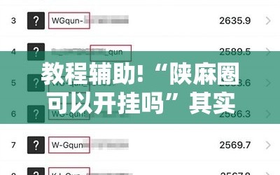 教程辅助!“陕麻圈可以开挂吗”其实确实有挂