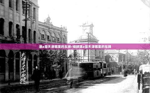 津a是天津哪里的车牌/绿牌津a是天津哪里的车牌