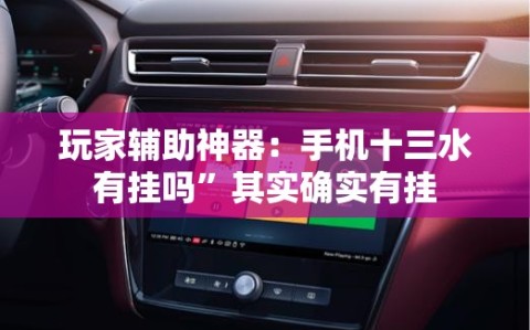 玩家辅助神器：手机十三水有挂吗”其实确实有挂