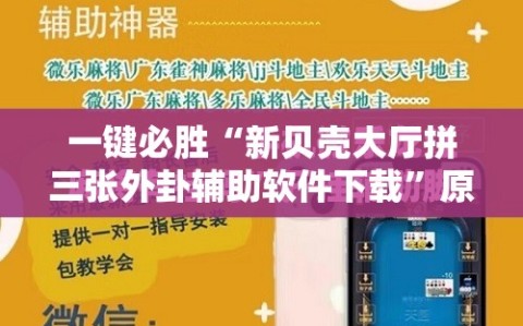一键必胜“新贝壳大厅拼三张外卦辅助软件下载”原来可以开挂