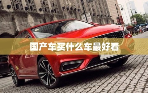 国产车买什么车最好看