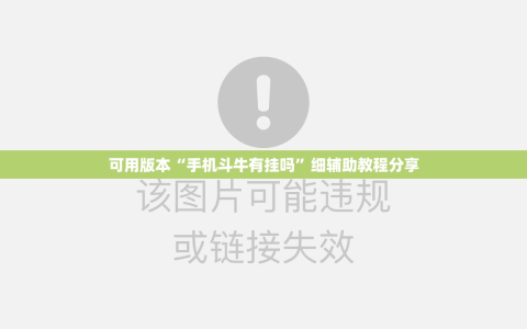可用版本“手机斗牛有挂吗”细辅助教程分享