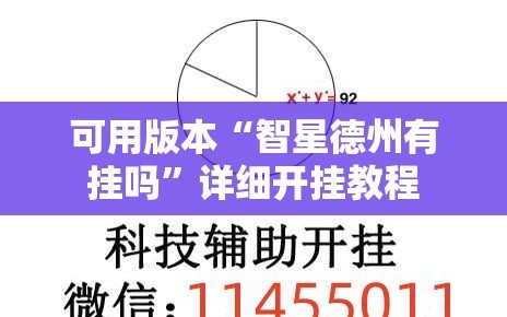 可用版本“智星德州有挂吗”详细开挂教程