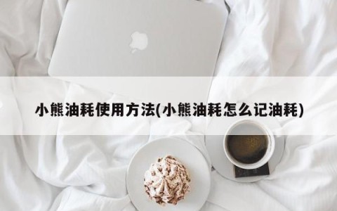 小熊油耗使用方法(小熊油耗怎么记油耗)