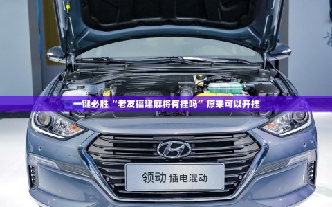 一键必胜“老友福建麻将有挂吗”原来可以开挂
