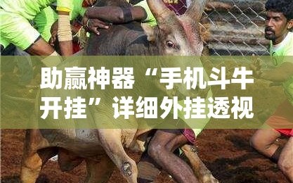 助赢神器“手机斗牛开挂”详细外挂透视辅助软件教程