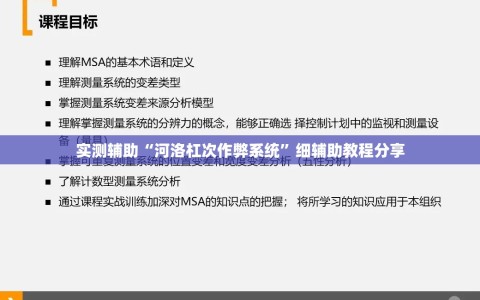 实测辅助“河洛杠次作弊系统”细辅助教程分享