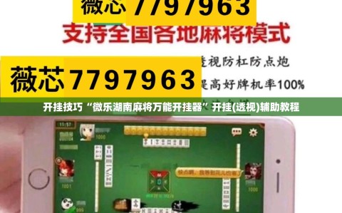 开挂技巧“微乐湖南麻将万能开挂器”开挂(透视)辅助教程