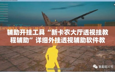 辅助开挂工具“新卡农大厅透视挂教程辅助”详细外挂透视辅助软件教程