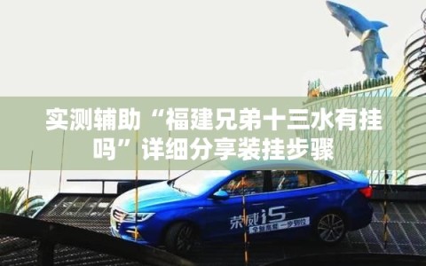 实测辅助“福建兄弟十三水有挂吗”详细分享装挂步骤