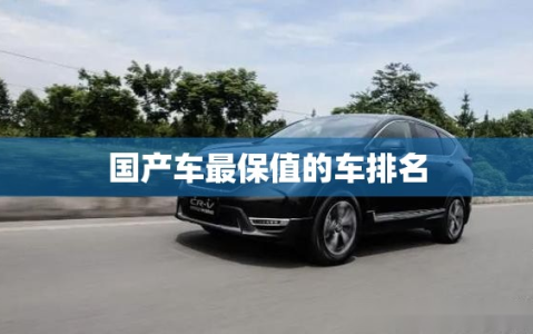 国产车最保值的车排名