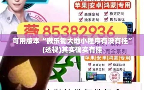 可用版本“微乐锄大地小程序有没有挂”(透视)其实确实有挂
