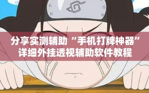 分享实测辅助“手机打牌神器”详细外挂透视辅助软件教程