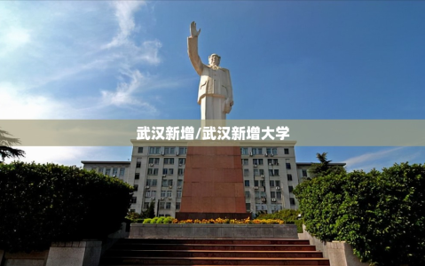 武汉新增/武汉新增大学