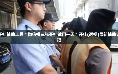开挂辅助工具“微信拼三张开挂试用一天”开挂(透视)最新辅助详细