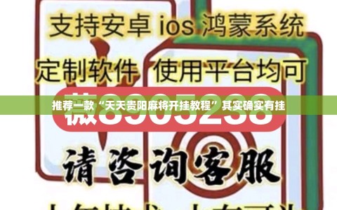 推荐一款“天天贵阳麻将开挂教程”其实确实有挂