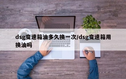 dsg变速箱油多久换一次/dsg变速箱用换油吗