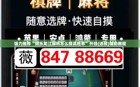 强力推荐“微乐龙江麻将怎么提高胜率”开挂(透视)辅助教程
