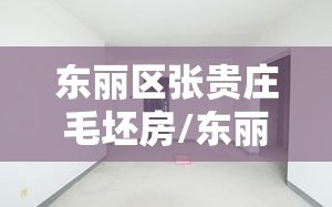 东丽区张贵庄毛坯房/东丽区张贵庄最新房源