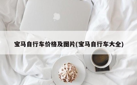 宝马自行车价格及图片(宝马自行车大全)