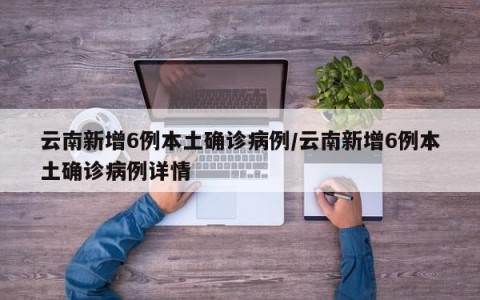 云南新增6例本土确诊病例/云南新增6例本土确诊病例详情