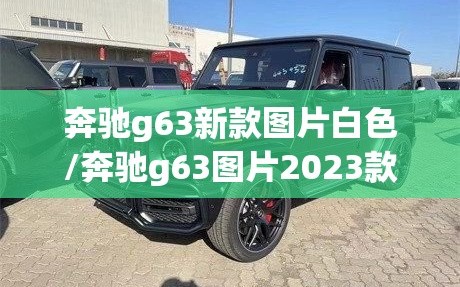 奔驰g63新款图片白色/奔驰g63图片2023款