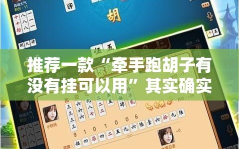 推荐一款“牵手跑胡子有没有挂可以用”其实确实有挂