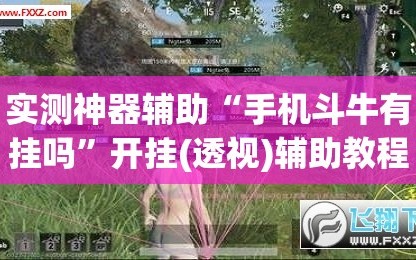 实测神器辅助“手机斗牛有挂吗”开挂(透视)辅助教程