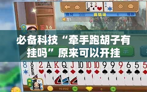 必备科技“牵手跑胡子有挂吗”原来可以开挂