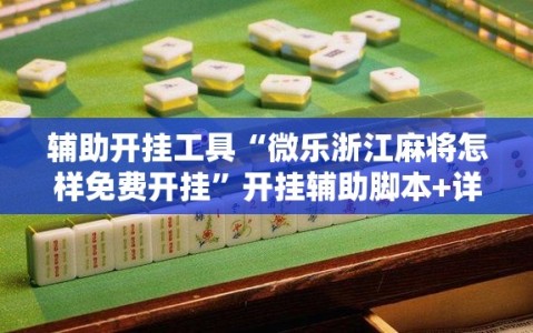 辅助开挂工具“微乐浙江麻将怎样免费开挂”开挂辅助脚本+详细开挂安装教程