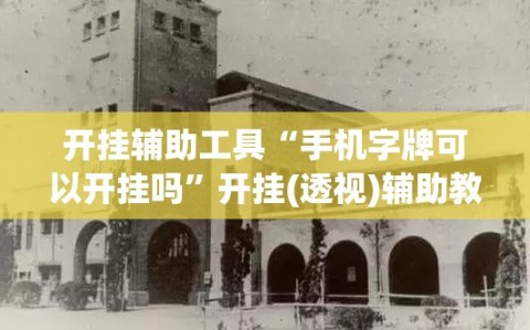 开挂辅助工具“手机字牌可以开挂吗”开挂(透视)辅助教程