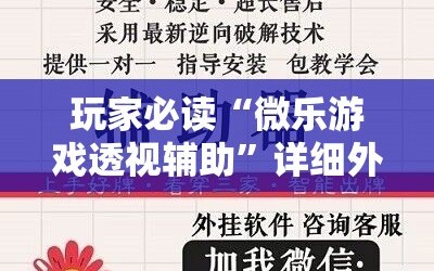 玩家必读“微乐游戏透视辅助”详细外挂透视辅助软件教程