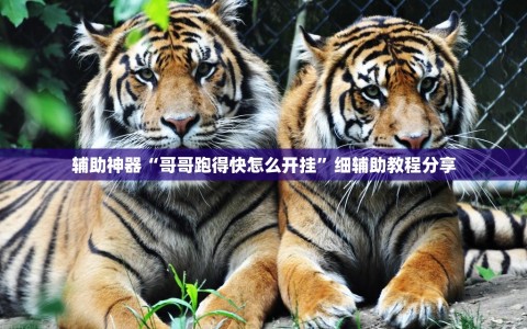 辅助神器“哥哥跑得快怎么开挂”细辅助教程分享