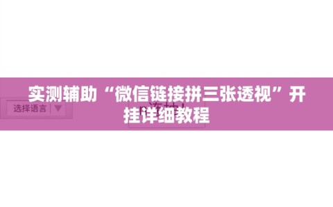 实测辅助“微信链接拼三张透视”开挂详细教程