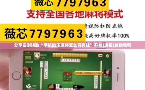 分享实测辅助“手机微乐麻将怎么看有挂”开挂(透视)辅助教程