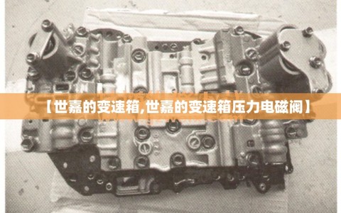 【世嘉的变速箱,世嘉的变速箱压力电磁阀】