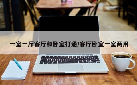 一室一厅客厅和卧室打通/客厅卧室一室两用