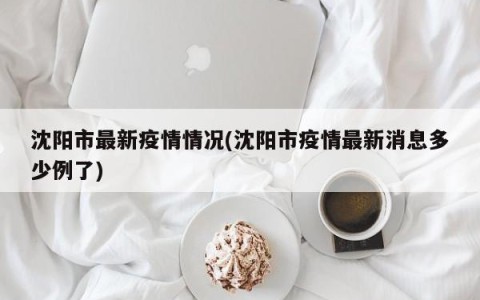 沈阳市最新疫情情况(沈阳市疫情最新消息多少例了)