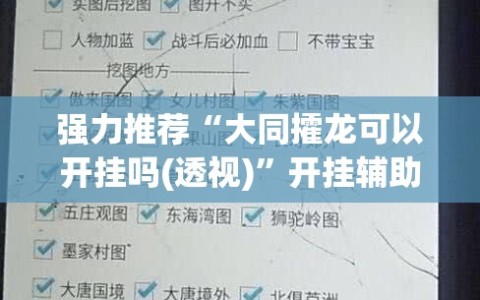 强力推荐“大同攉龙可以开挂吗(透视)”开挂辅助脚本+详细开挂安装教程