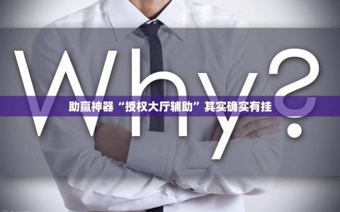 助赢神器“授权大厅辅助”其实确实有挂