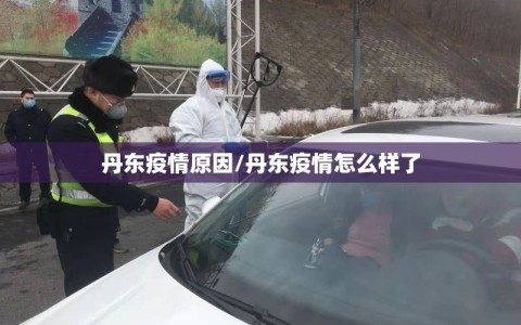 丹东疫情原因/丹东疫情怎么样了