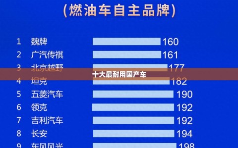 十大最耐用国产车