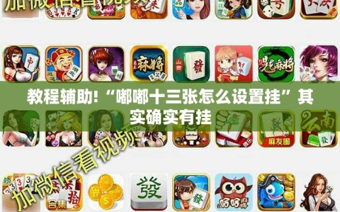 教程辅助!“嘟嘟十三张怎么设置挂”其实确实有挂