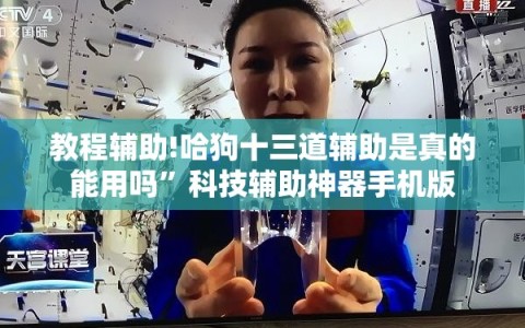 教程辅助!哈狗十三道辅助是真的能用吗”科技辅助神器手机版