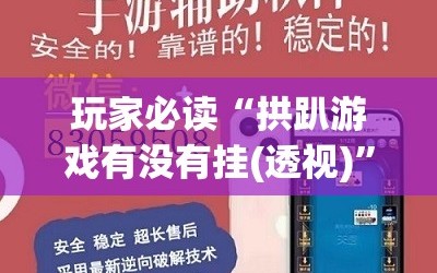 玩家必读“拱趴游戏有没有挂(透视)”开挂辅助脚本+详细开挂安装教程