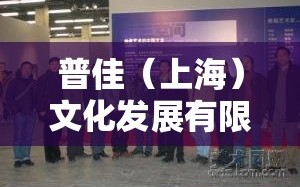 普佳（上海）文化发展有限公司怎么样？